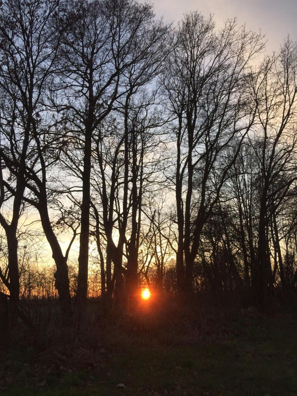Spreewald-Ferienwohnung Reschke Radensdorf Dış mekan fotoğraf